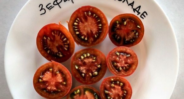 Popis a výnos odrůd rajčat marshmallow v čokoládě